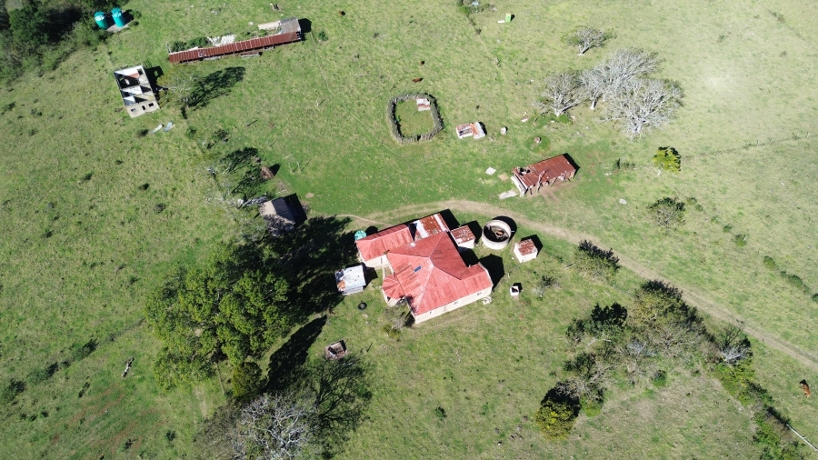 Commercial Property for Sale in Komga Eastern Cape